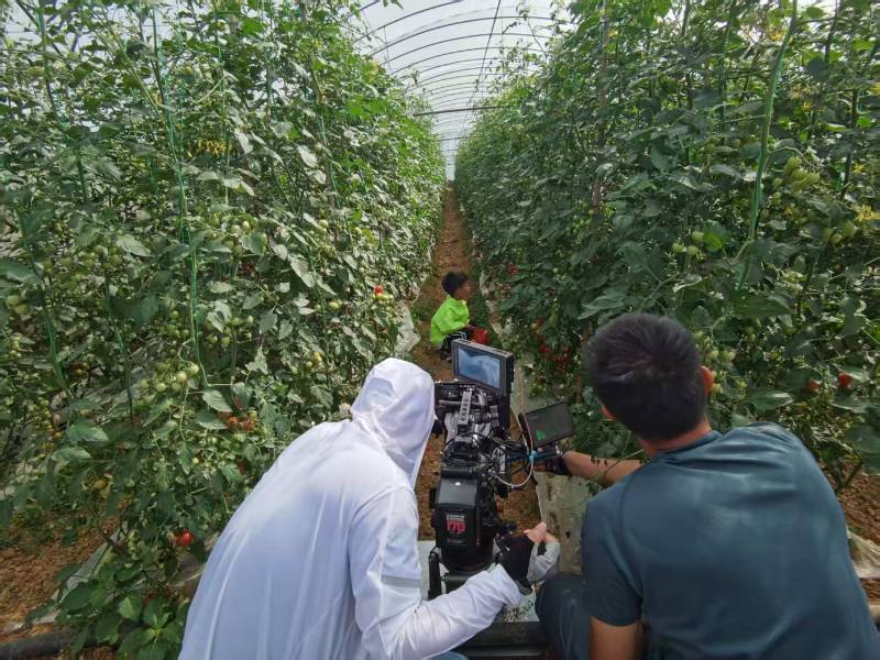 万载县产品宣传视频拍摄公司进阶指南，助力品牌抢占传播高地